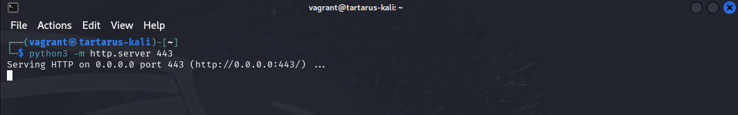 dvwacommandinjectionpythonserver