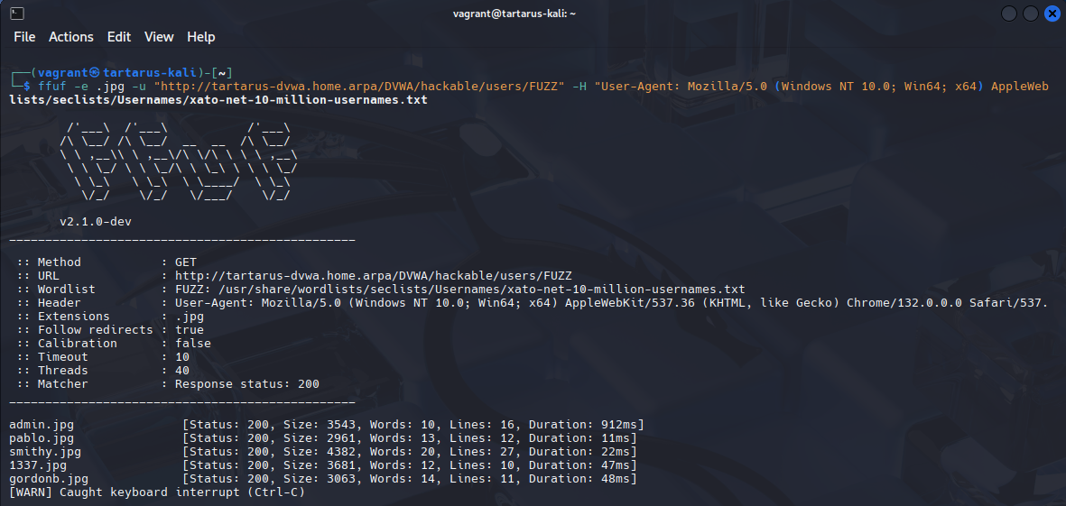 dvwamedbfffufusernamerecon