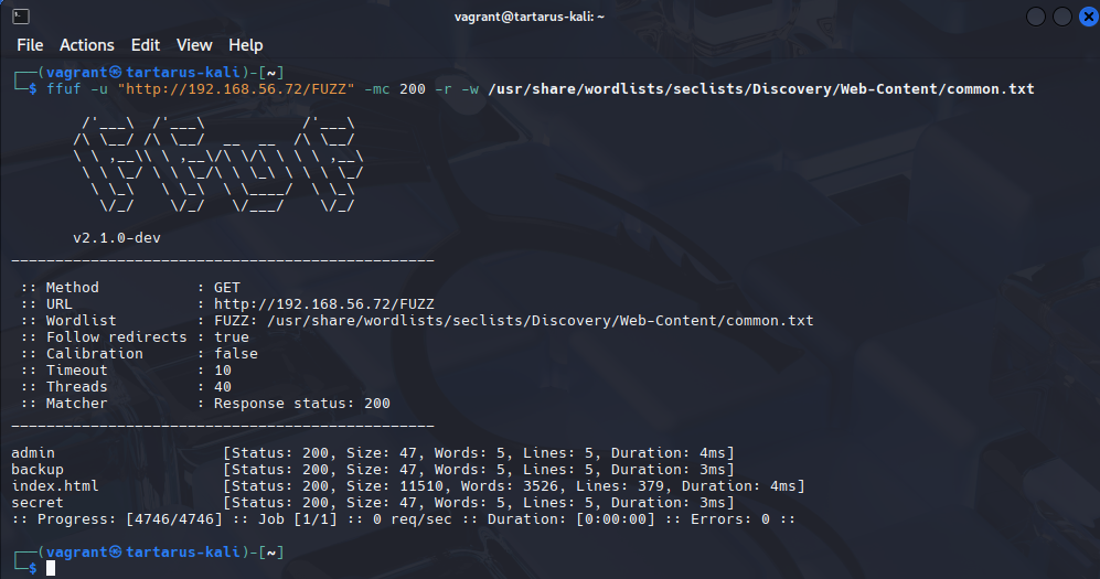 0dayblueteamffufscan