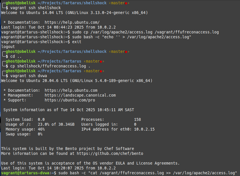 0dayblueteamffufseedaccesslogs