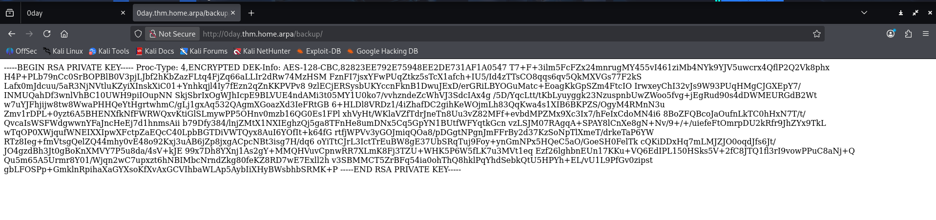 0dayredteamreconbackup